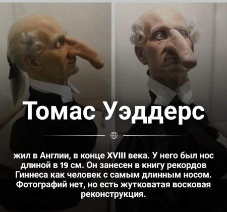 Томас уэддерс фото