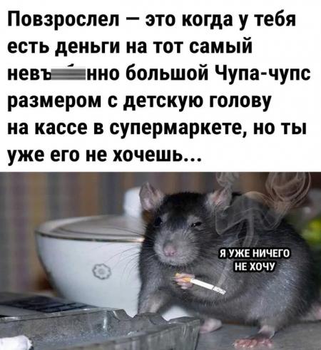 Маленький уёк в пинде королек !!