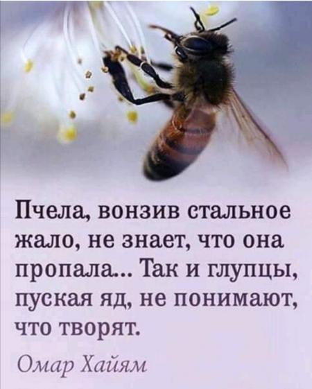 Просто глупцы и совсем не герои как будто бы мы перепутали роли