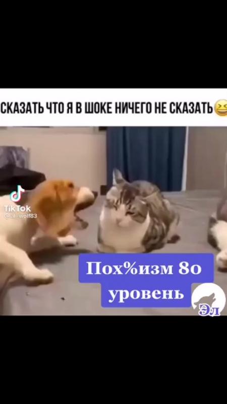 Я в шоке ничего