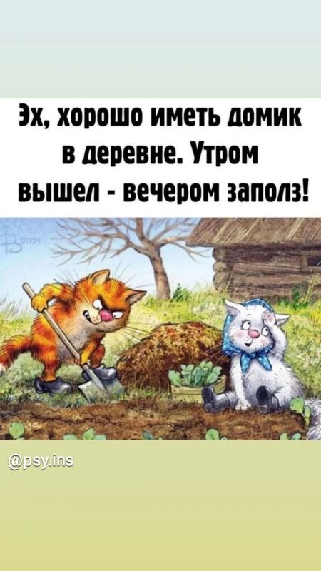 Могилевчане Сиваковы оставили 3-комнатную квартиру в городе ради домика в деревне