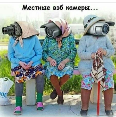 Местные вэб камеры - выпуск №1425912