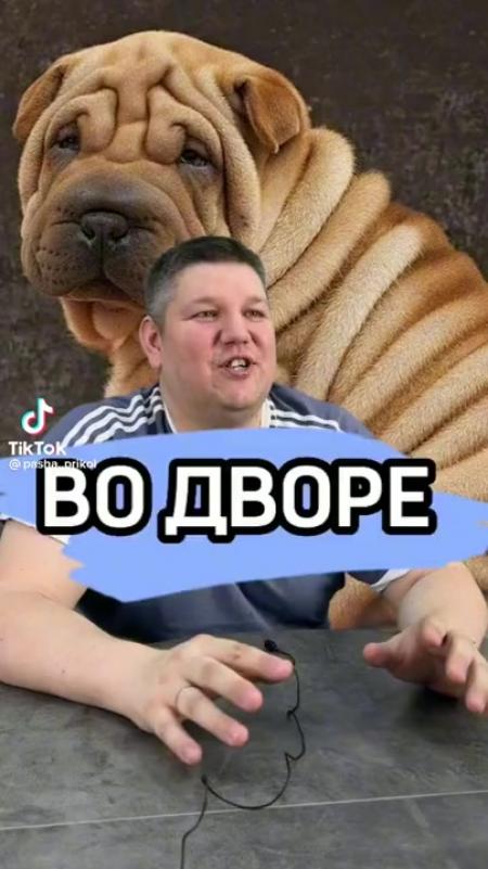 Во дворе разговаривают 3 собаки овчарка говорит вот видите лапа кривая ...