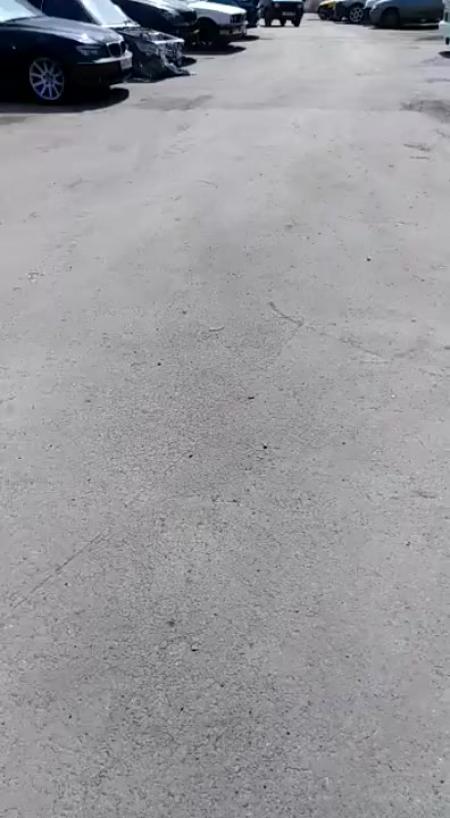 Пока притормози как как он туда залез - выпуск №1568530