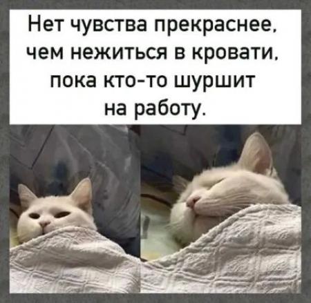 Нежиться в кровати это