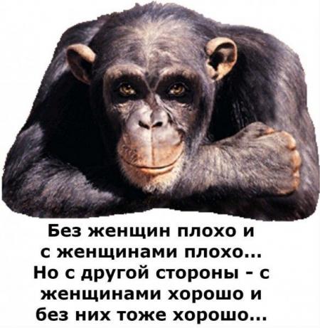 Цитаты про полных красивых девушек. Нет ничего хуже обиженной бабы. Плохая женщина это какая. Плохая женщина это какая. Плохой мужчина всегда испортит женщину.