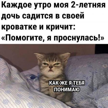 Машина кричит помогите