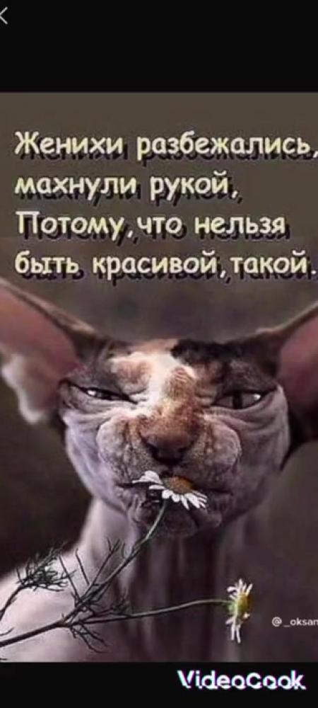 Женихи разбежались махнули рукой потому что нельзя быть красивой такой картинки