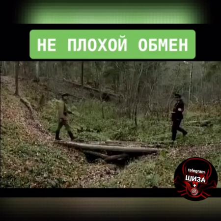 Ну что готовы к обмену о нань нань нань ну как это как это о смотри угу ...