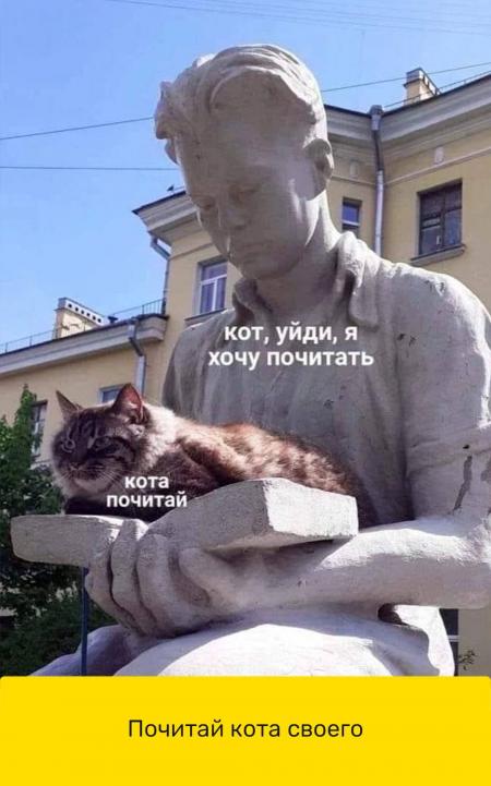 я хочу почитать где моя книга перевод на английский