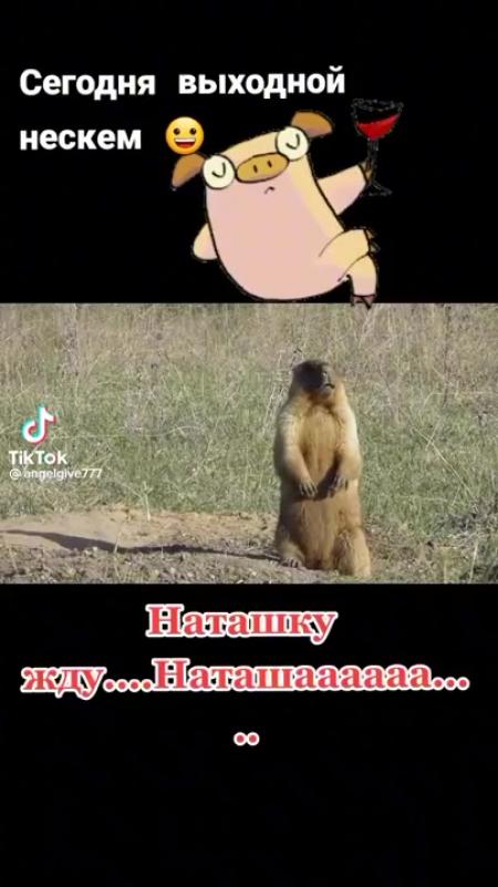 Ни скем. Ни скем