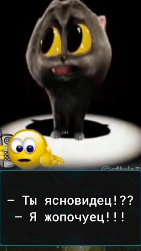 Gif говорящий. Смешные движущиеся. Скетмен кот. Анимированный говорящий кот. Двигающие приколы