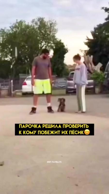 Видео прикол с фото