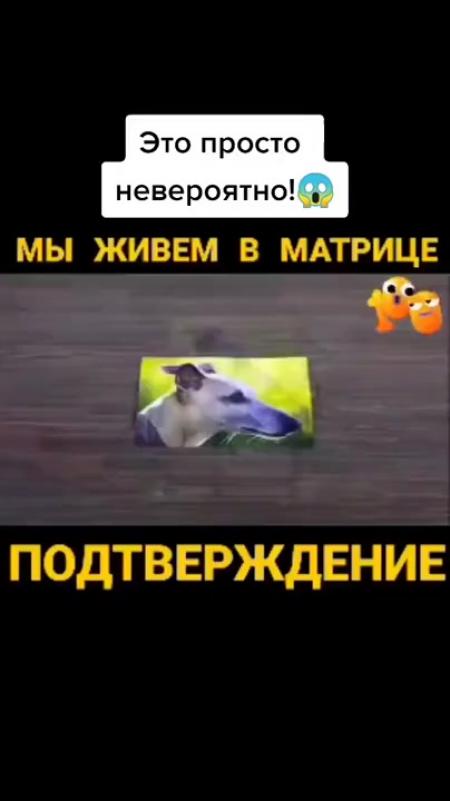 Это просто невероятно МЫ ЖИВЕМ В МАТРИЦЕ и ПОДТВЕРЖДЕНИЕ вот ...