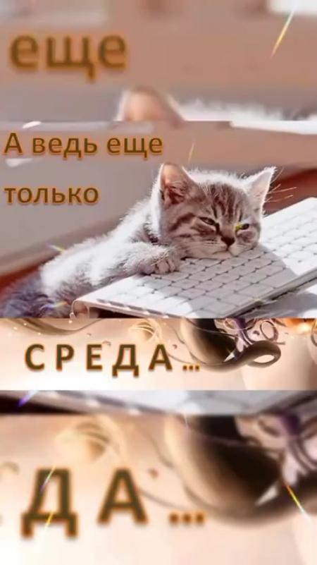 ГыГы Приколы - выпуск №2154255