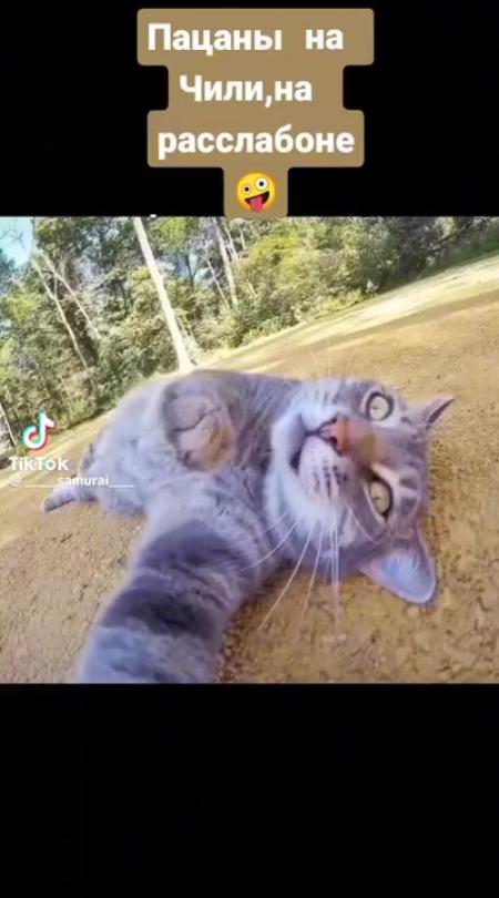 мемы про джигана. , , blago white, og buda, тимати,. джиган на расслабоне. джиган на чилле на расслабоне мем. джиган мем на расслабоне.