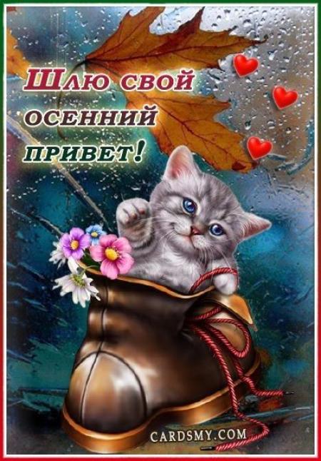 Приветик улыбнись в ответик. Шлю ч. Целую картинки. Шлю ч. Открытки с поцелуями.