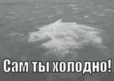 Шутки холод. Холодно гифки. Очень холодно. Холодно на улице. Холодно гифки прикольные.