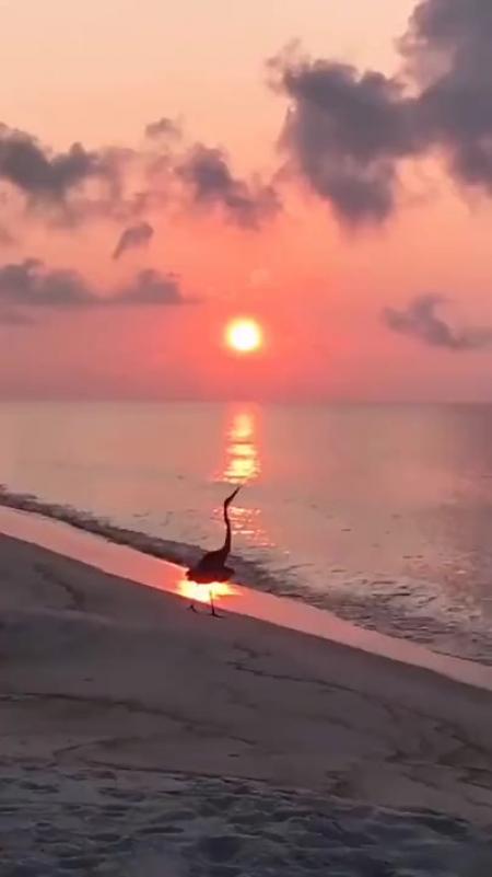 бытовые забавные ситуации. ру. чудо приколы видео. пиво творит чудеса. я чудо.