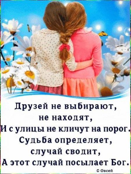 Открытки о дружбе и друзьях