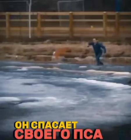 ГыГы Приколы - выпуск №2567195
