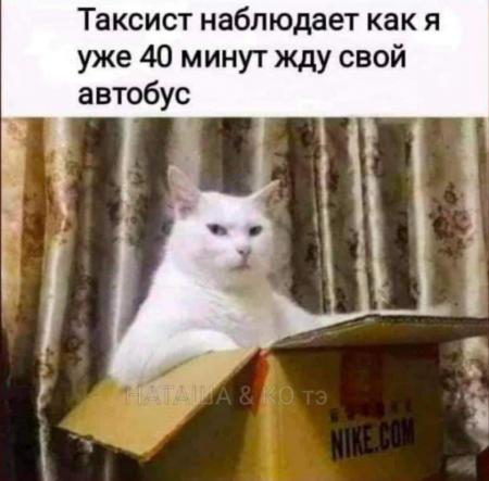 Как я уже могу