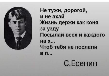 Товарищ нервы зажми в узду плакат. Есенин держи коня за узду. Не тужи дорогой и не ахай. Есенин посылал всех с гордостью. Есенин держи коня за узду.