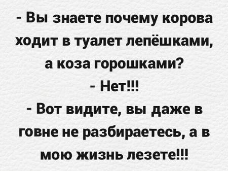 100 анекдотов на пятницу, 15 августа 2014г