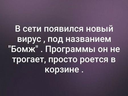 Появился новый компьютерный вирус бомж программы не трогает но роется в корзине