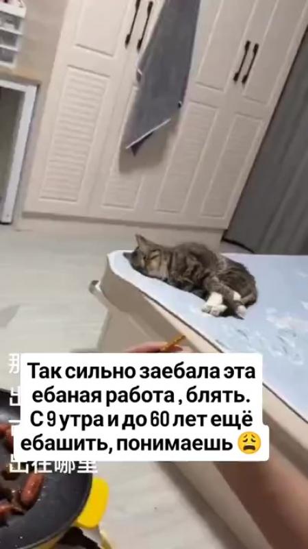 Порно видео свингтер достар