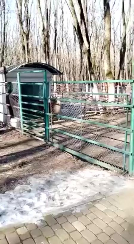 Еще раз блядь плюнешь я тебе зубы в жопу зашел не понял Вот уебок 