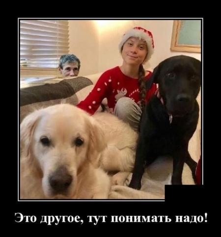 Это другое тут понимать надо - выпуск №371821