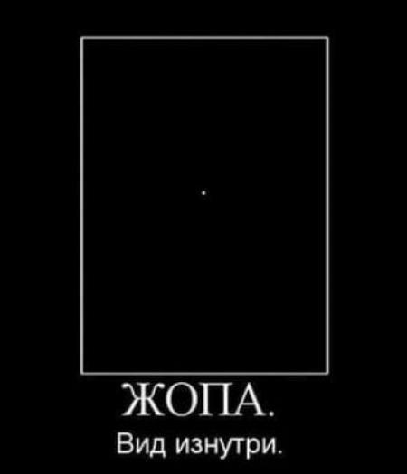 ЖОПА Вид изнутри - выпуск №375555