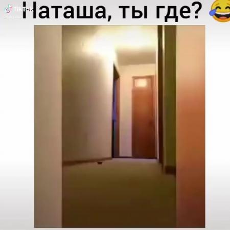 Наташа ты где картинки смешные