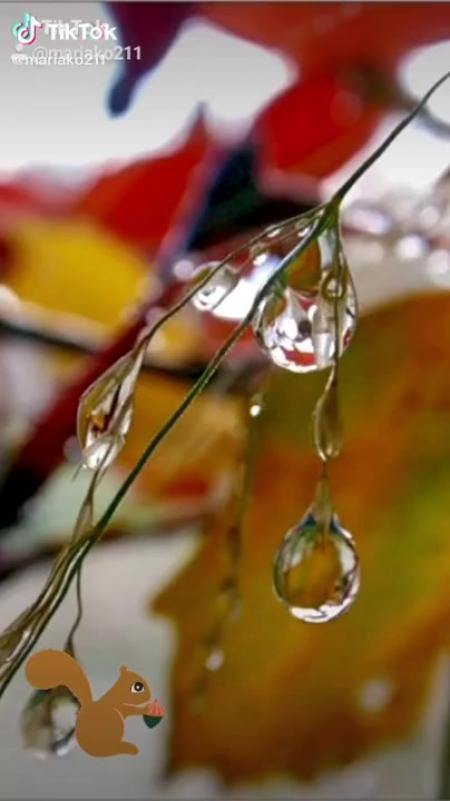 Осень слезы дождь. Весенняя капель в городе. Осени слезинки детская. Слезы осени. Осени слезинки детская.