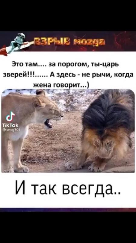 Да царь ты царь картинка