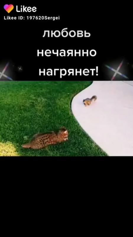 Любовь нечаянно нагрянет рассказ мама 2 2