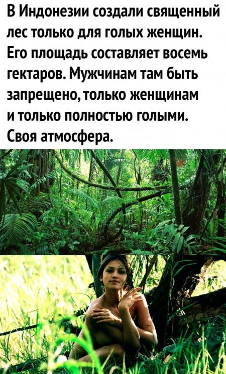 Голая девушка в лесу » Красивые эротические фото, голые девушки | kladoFFka | кладоФФка